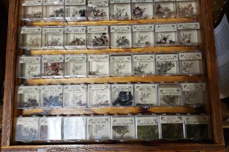 Picketwire Store & Gift Shop in Weston, Colorado